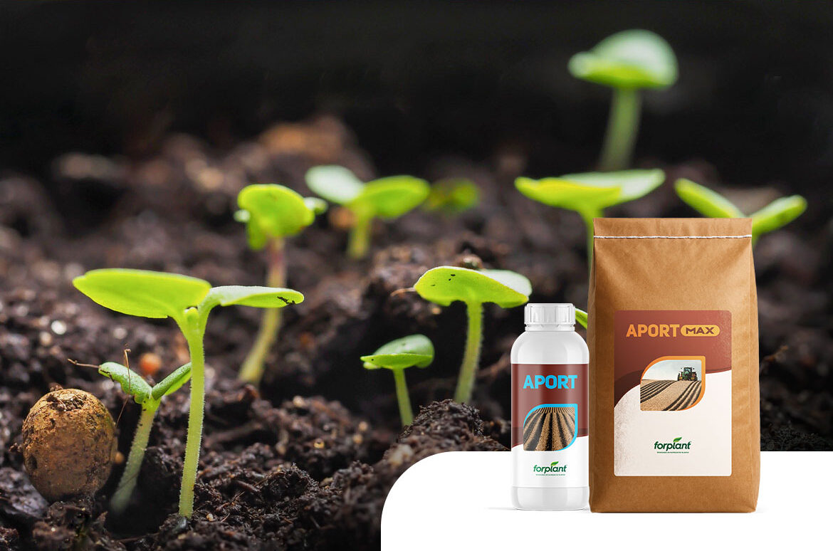 A Importância das Substâncias Húmicas na Agricultura