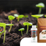 A Importância das Substâncias Húmicas na Agricultura