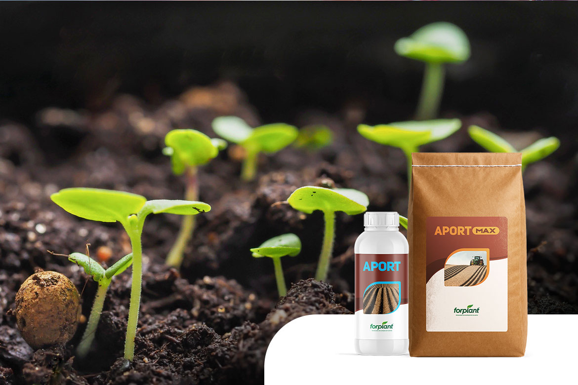 A Importância das Substâncias Húmicas na Agricultura