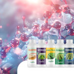 A Importância dos Aminoácidos para o Desenvolvimento das Plantas