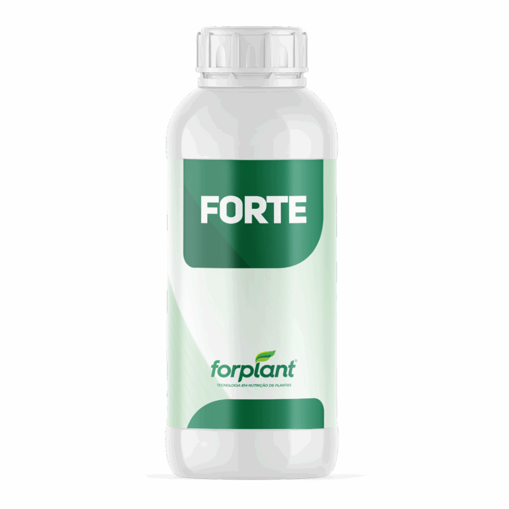 Forte - Forplant